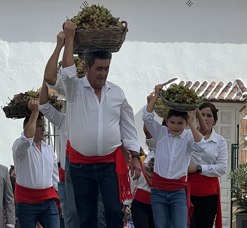 MOCLINEJO FIESTA VIÑEROS