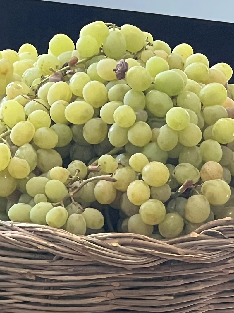 uva_04